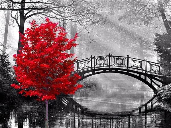 Black & Red - Diamond Painting