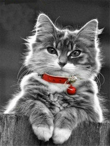 Gatitos - Diamond Painting