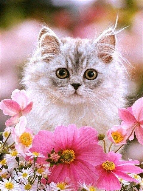 Gatitos - Diamond Painting