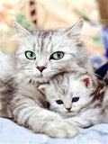 Gatitos - Diamond Painting