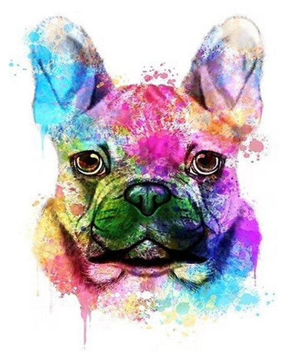 Pintura por números - Especial animales