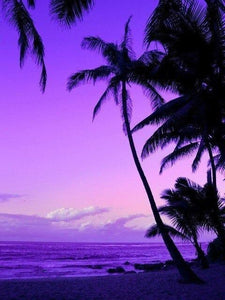 Atardeceres - Diamond Painting