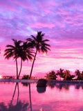 Atardeceres - Diamond Painting
