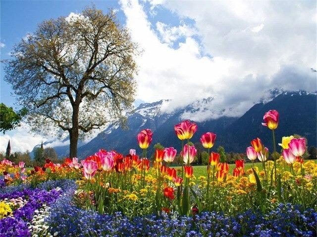 Pintura por números - Especial paisajes